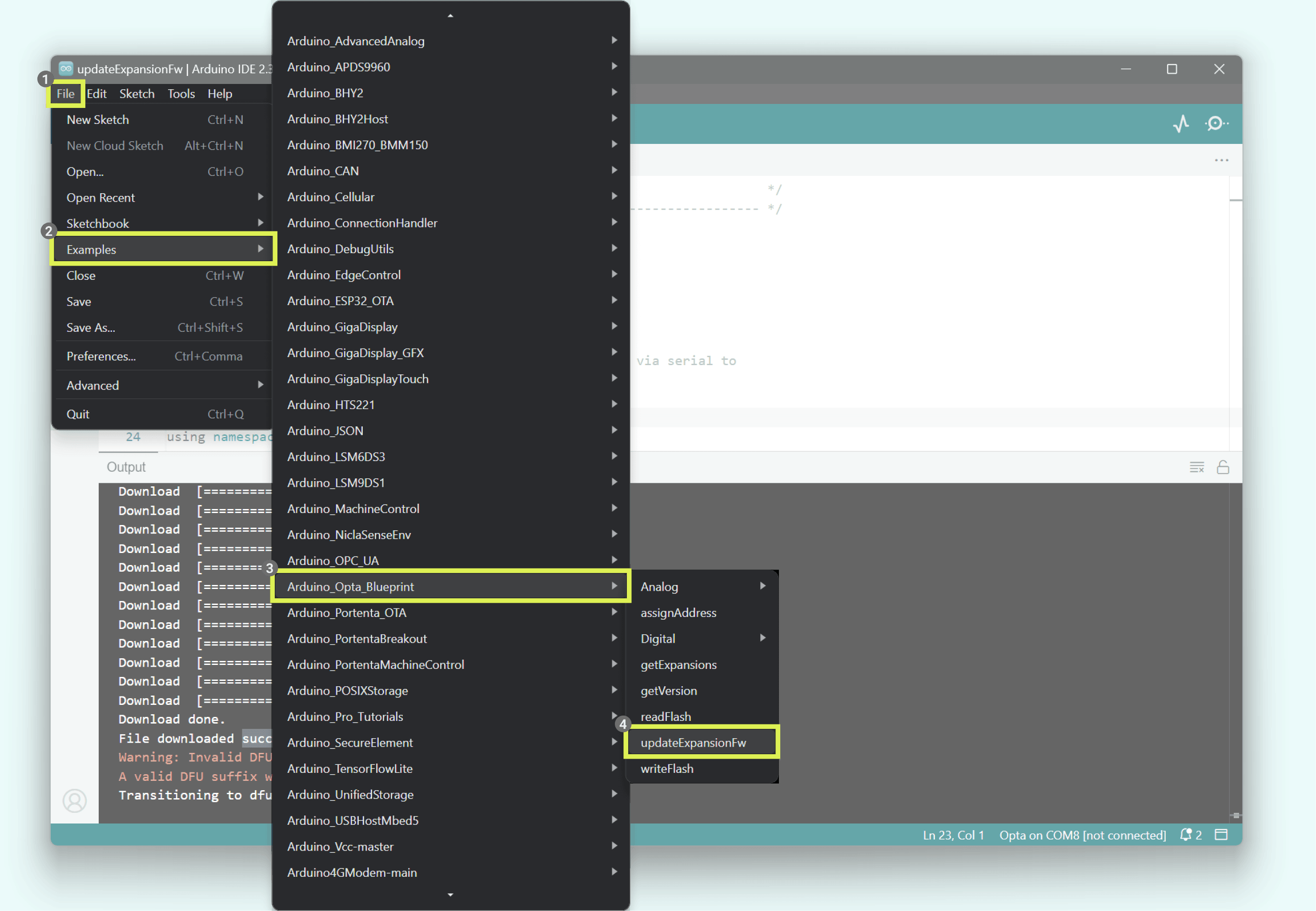 Firmware update example