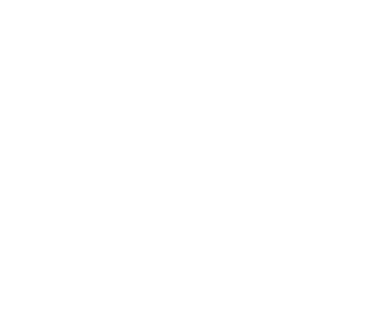 Artillery_force.png