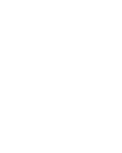 saris.png