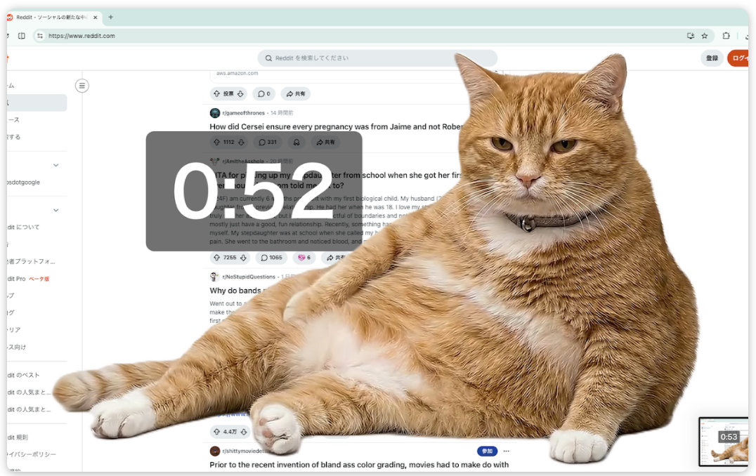 Cat gatekeeper