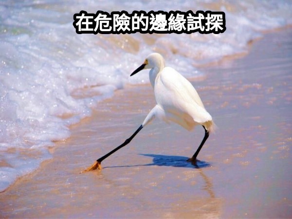 在危險邊緣試探