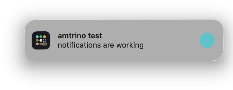 amtrino screenshot 2