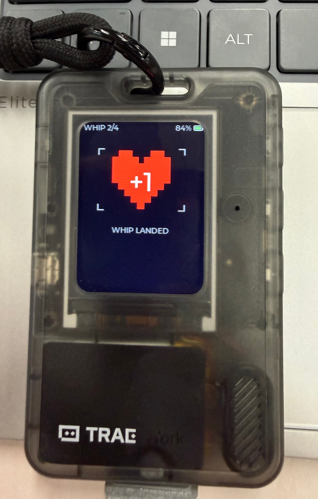 Whip landed reward screen on real hardware