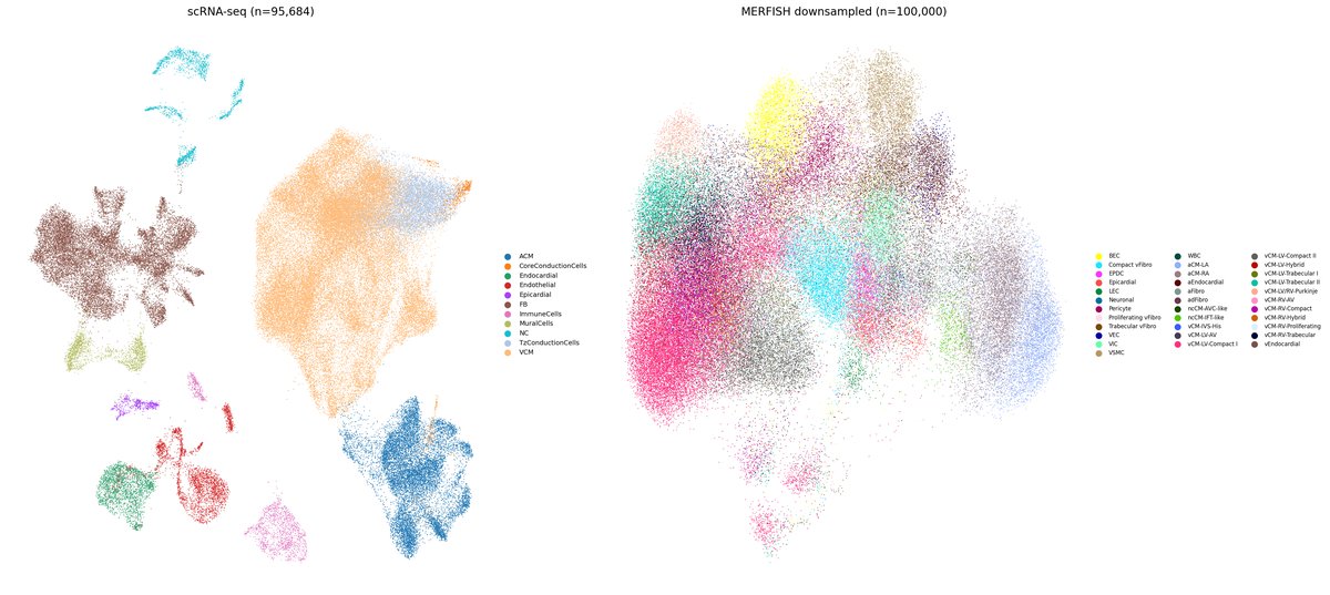 Heart MERFISH Data Overview