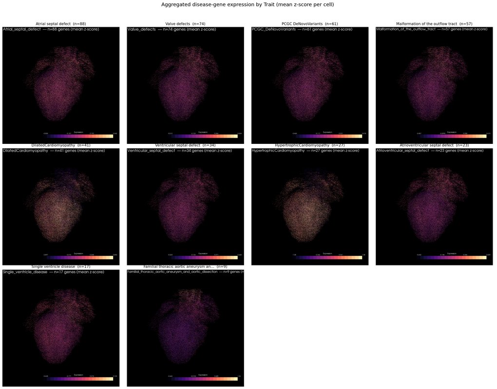 3D Human Fetal Heart Disease Gene Pattern