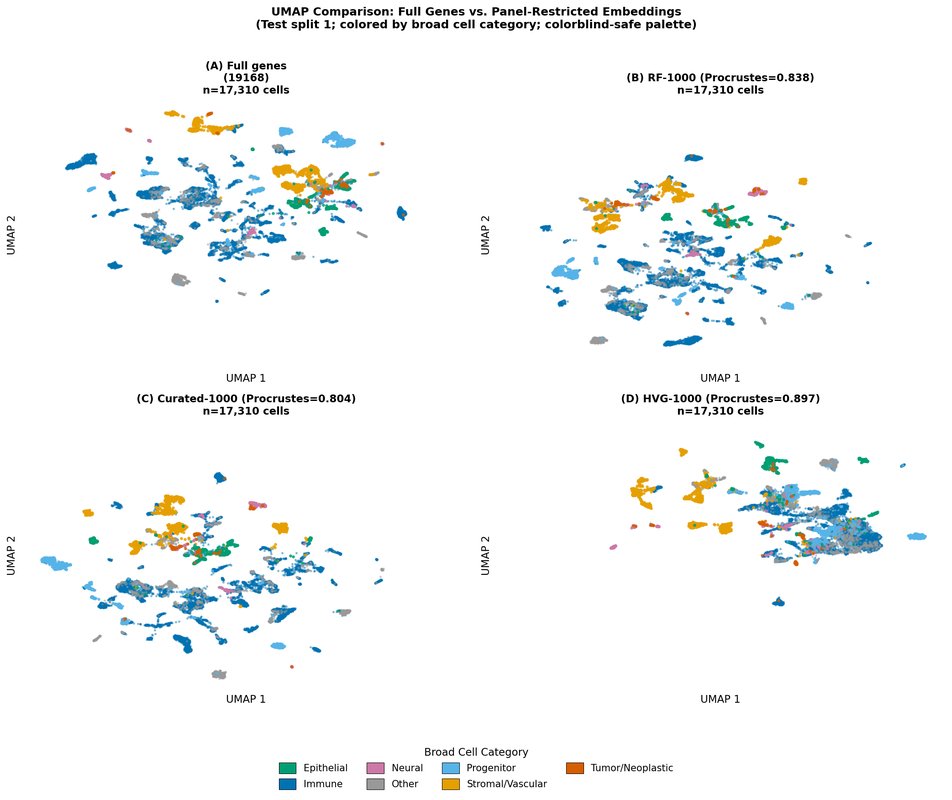 Immune Oncology Gene Panel Design