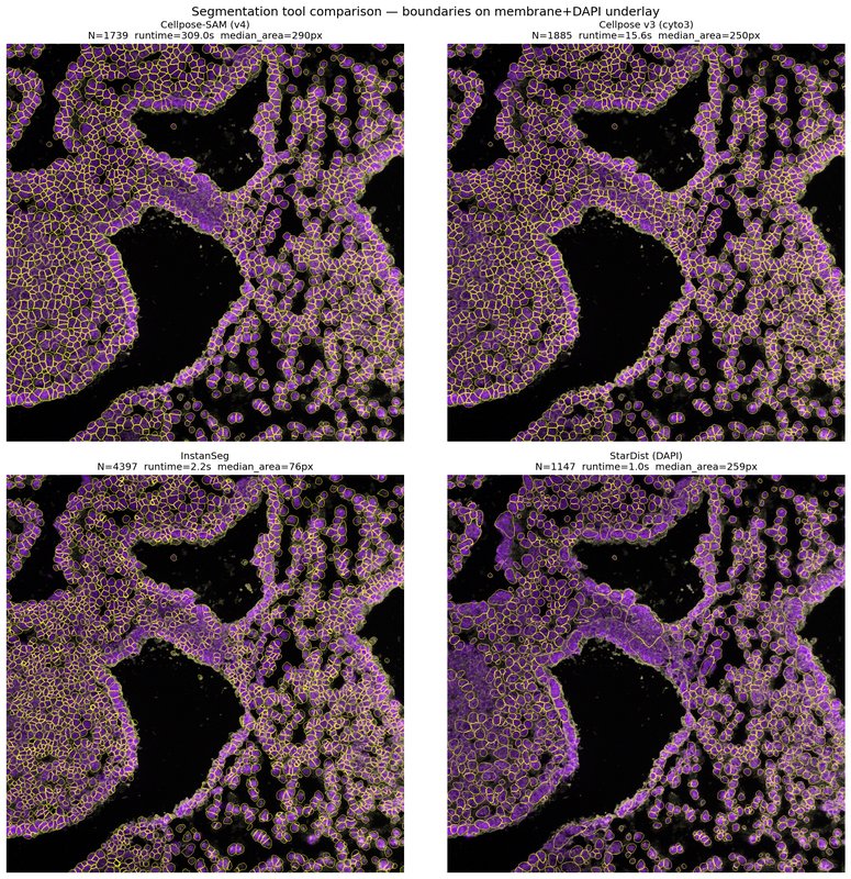 Multi-Channel Cell Segmentation