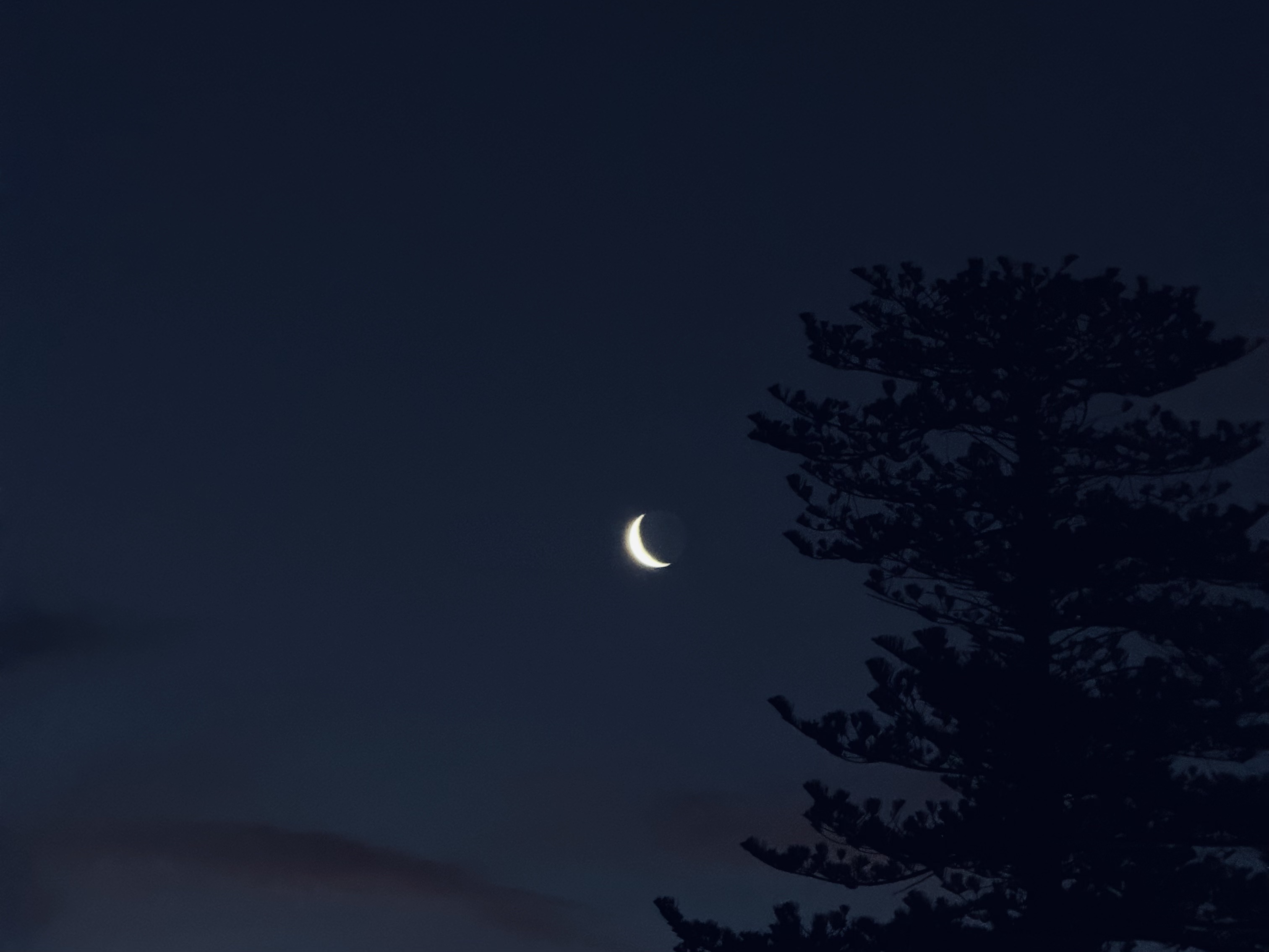 The Waverley Cemetery, Sydney, Australia.