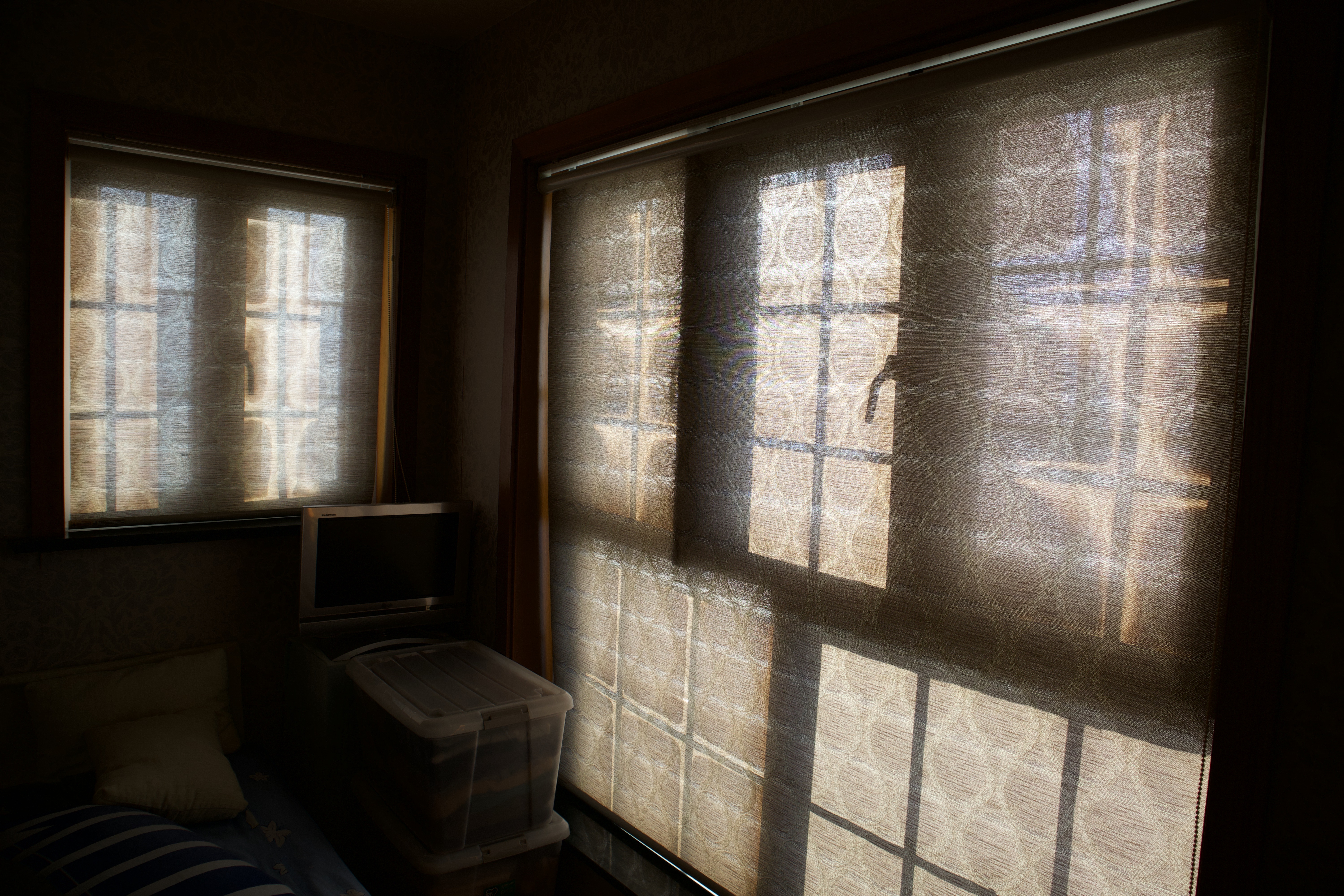 Traumerei, Ariana in Shanghai 2025