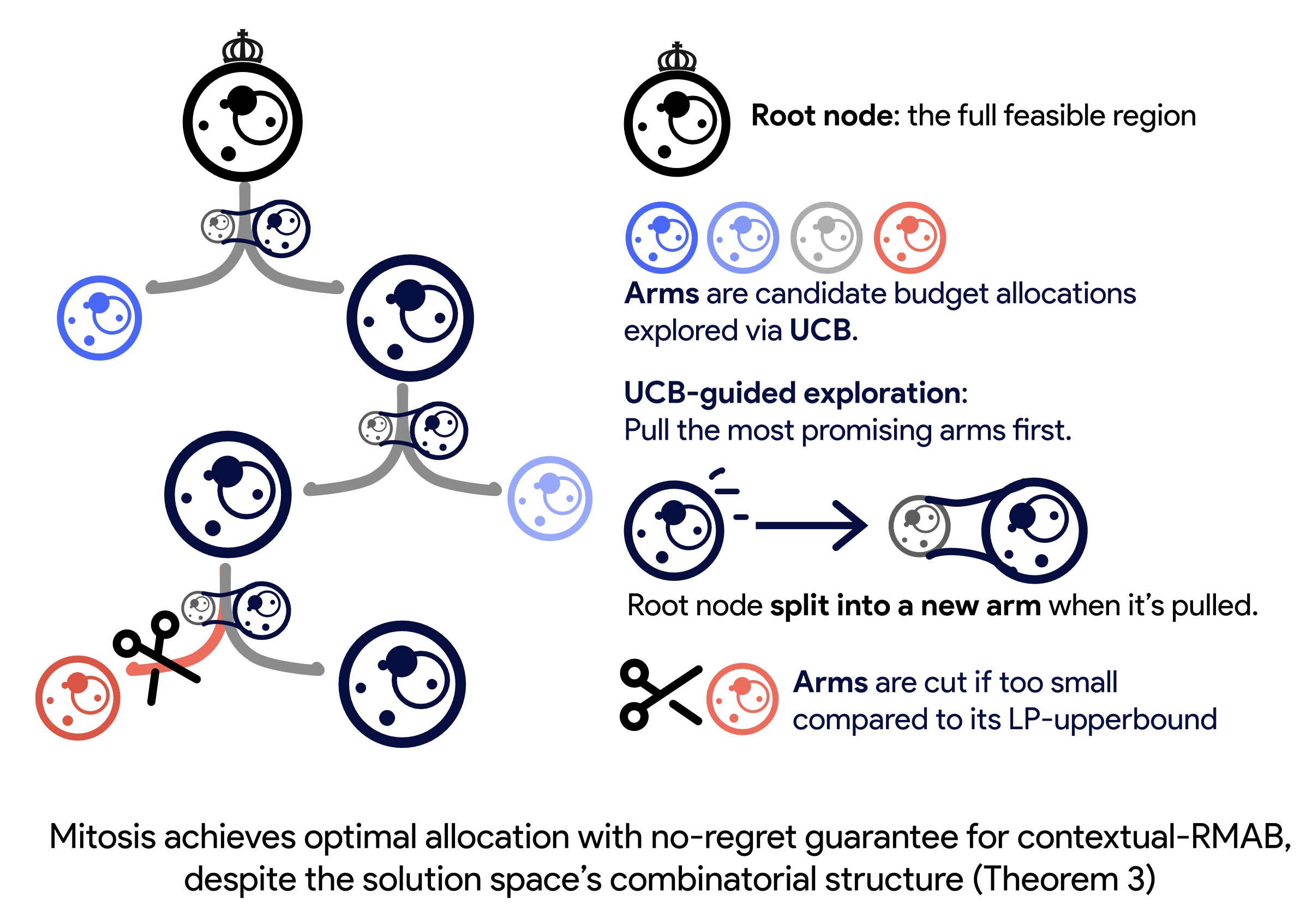 Visualization of the Mitosis algorithm.