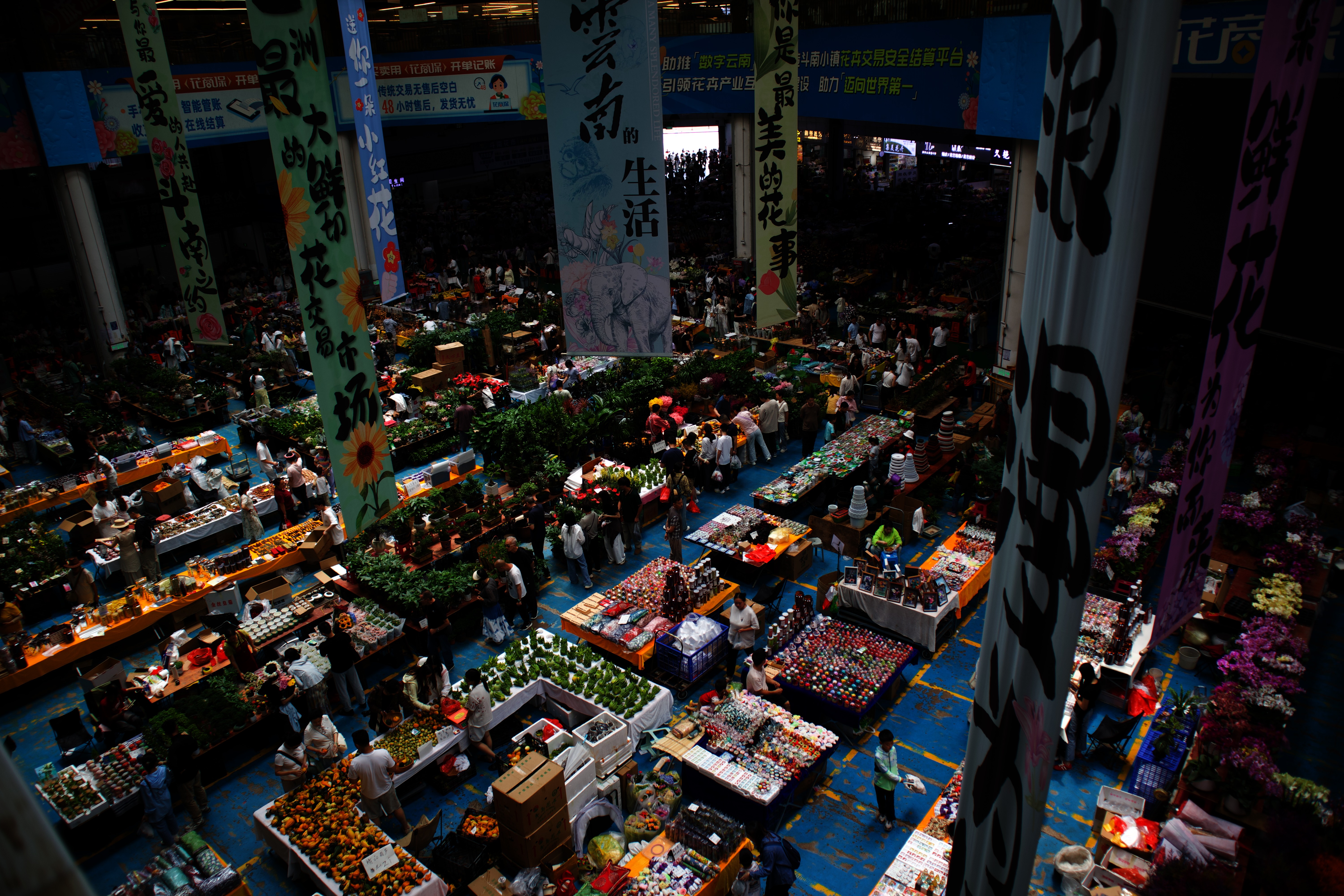 Kunming’s Dounan Flower Market