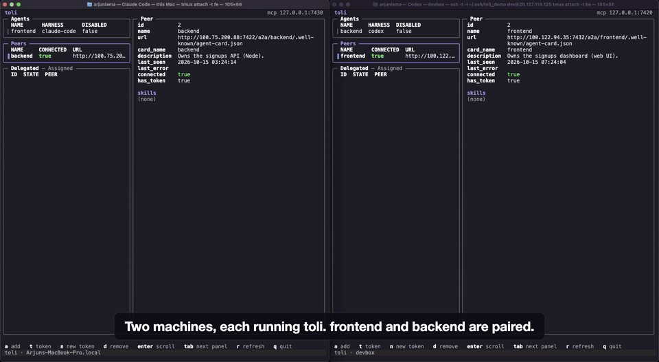 toli demo: Claude Code on a Mac and Codex on another machine work together through toli