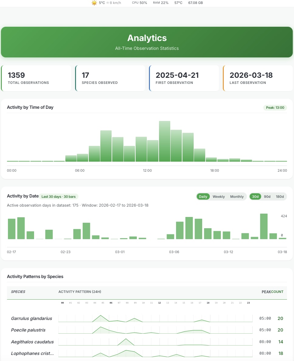 Analytics