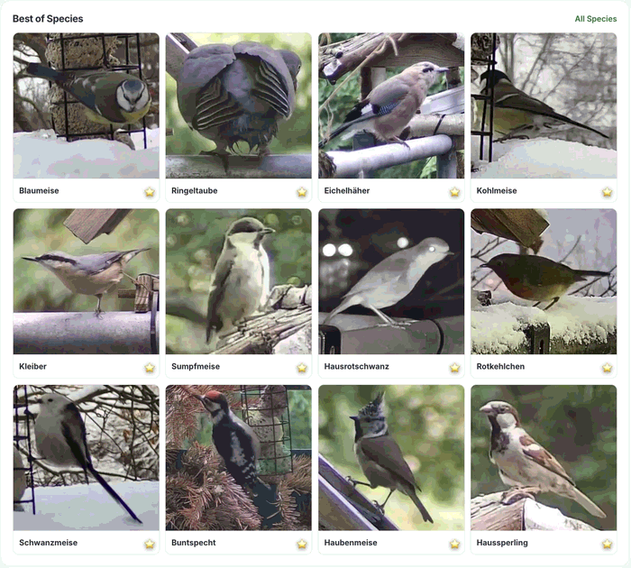 Best of Species