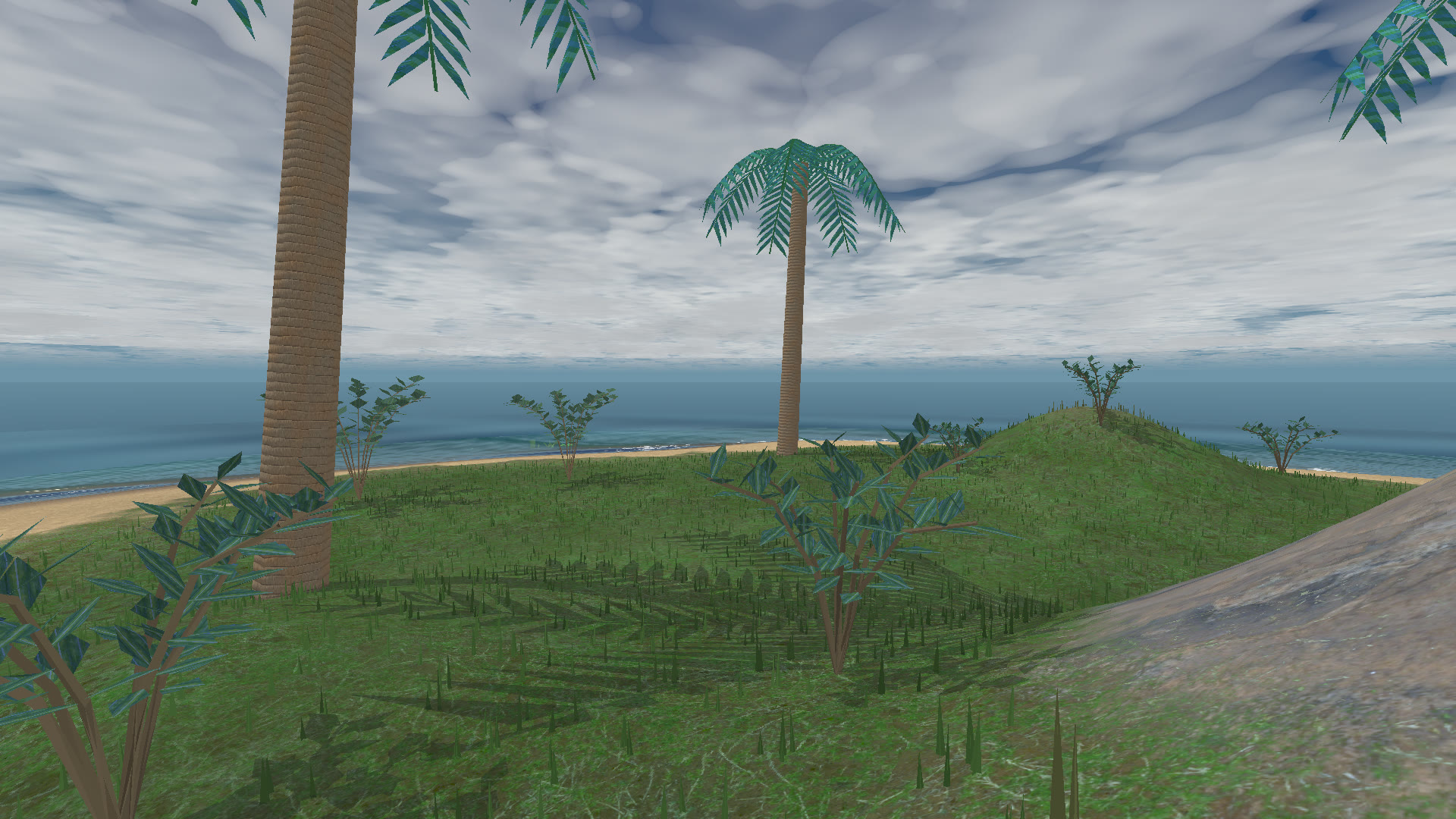 Palms and grass