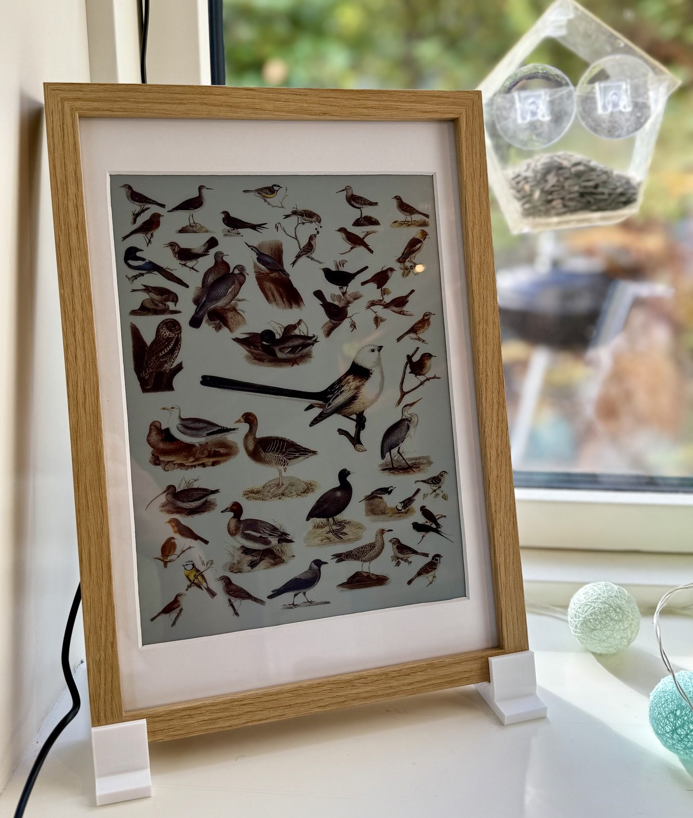 The frame standing on a windowsill showing a collage of birds heard in the garden, a window feeder on the glass behind it