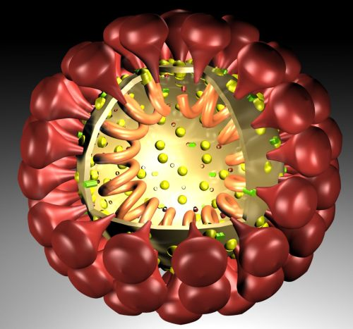 Another image of Coronavirus