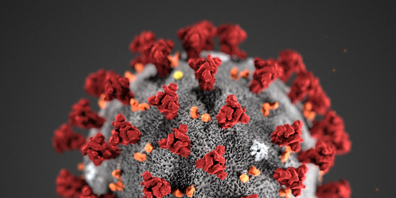 Coronavirus surface details