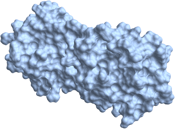 Image of protease surface