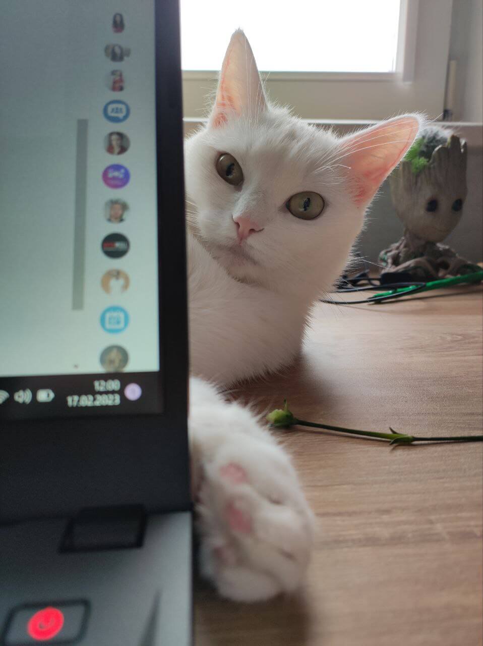 Кейси