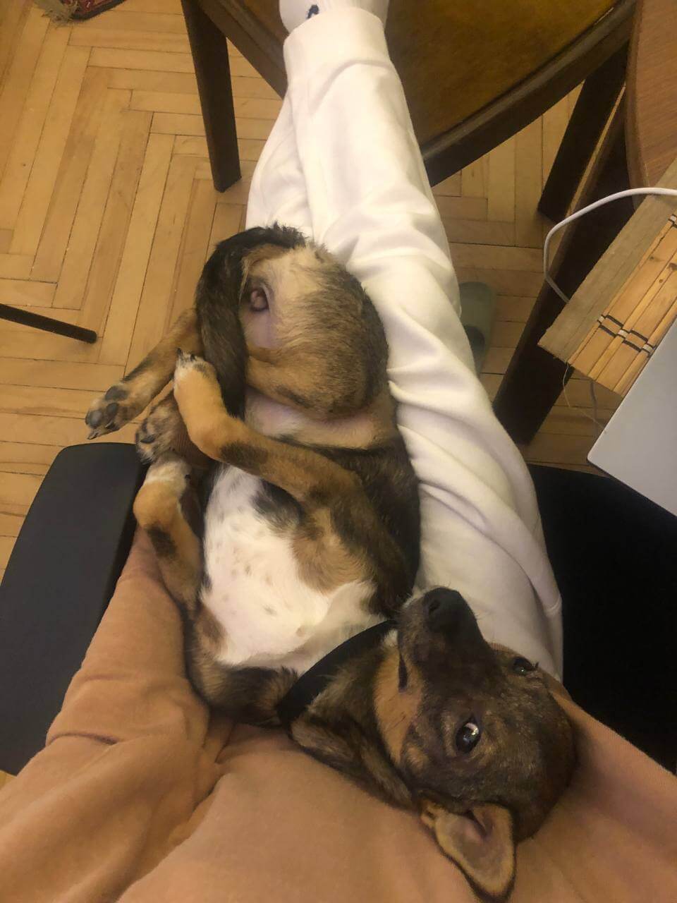 Лилу