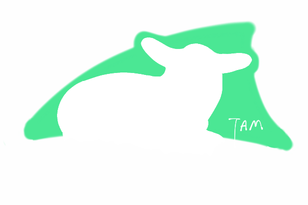 Tam is a tame lamb!