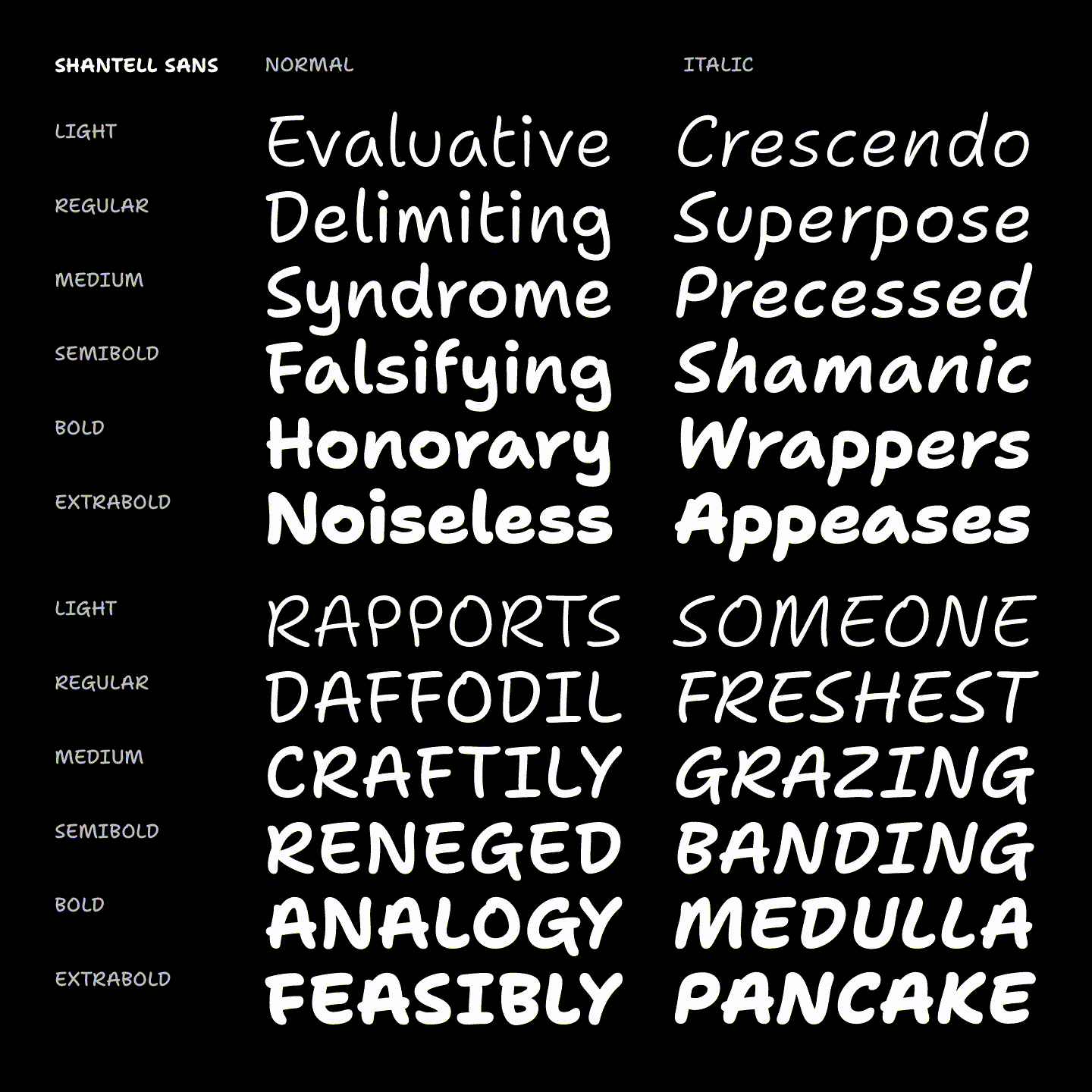 Font styles in Shantell Sans