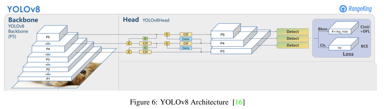 yolov8_arcitecture