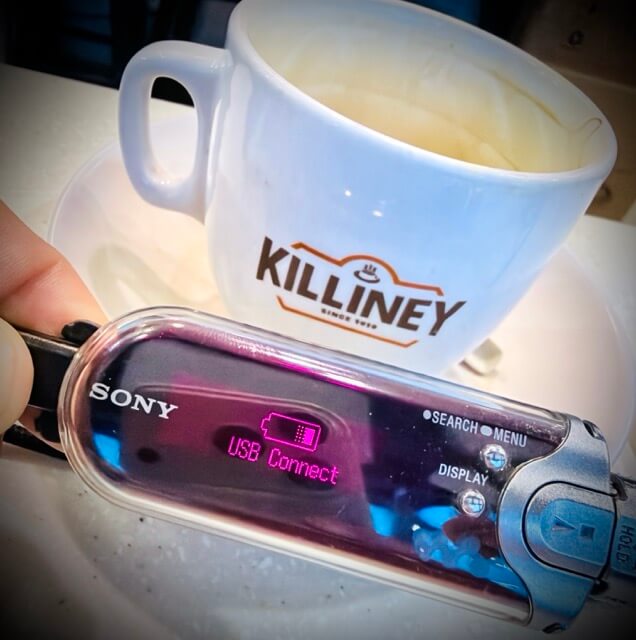 Sony Network Walkman NW-E405