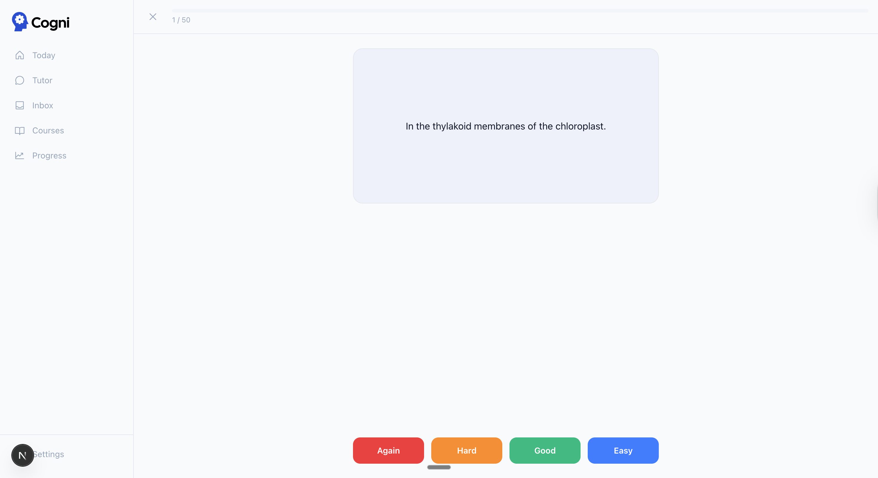 Flashcard review