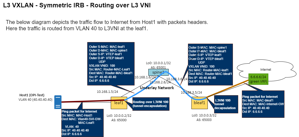 OPI EVPN Bridge Diagram for L3VXLAN Symmetric IRB