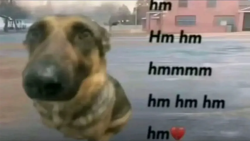 Bane Sleep Mimimi