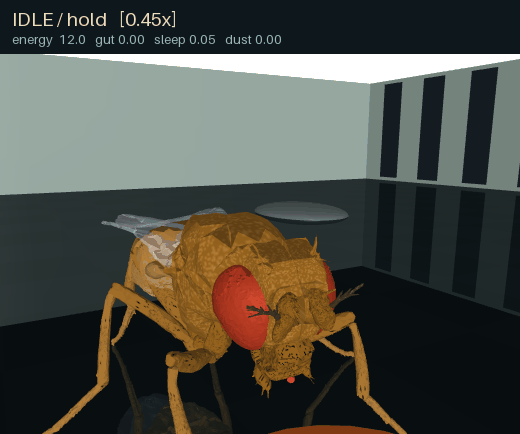 Proboscis contacting food