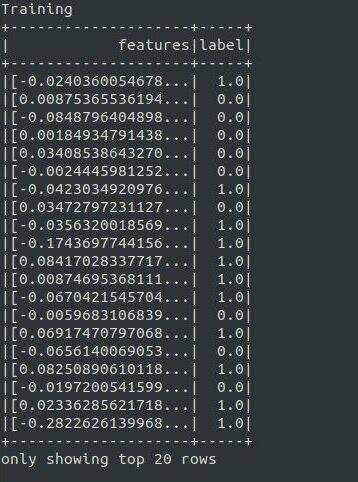 Train Data