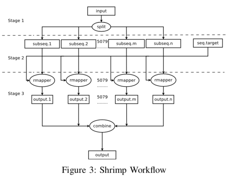 SHRiMP workflow