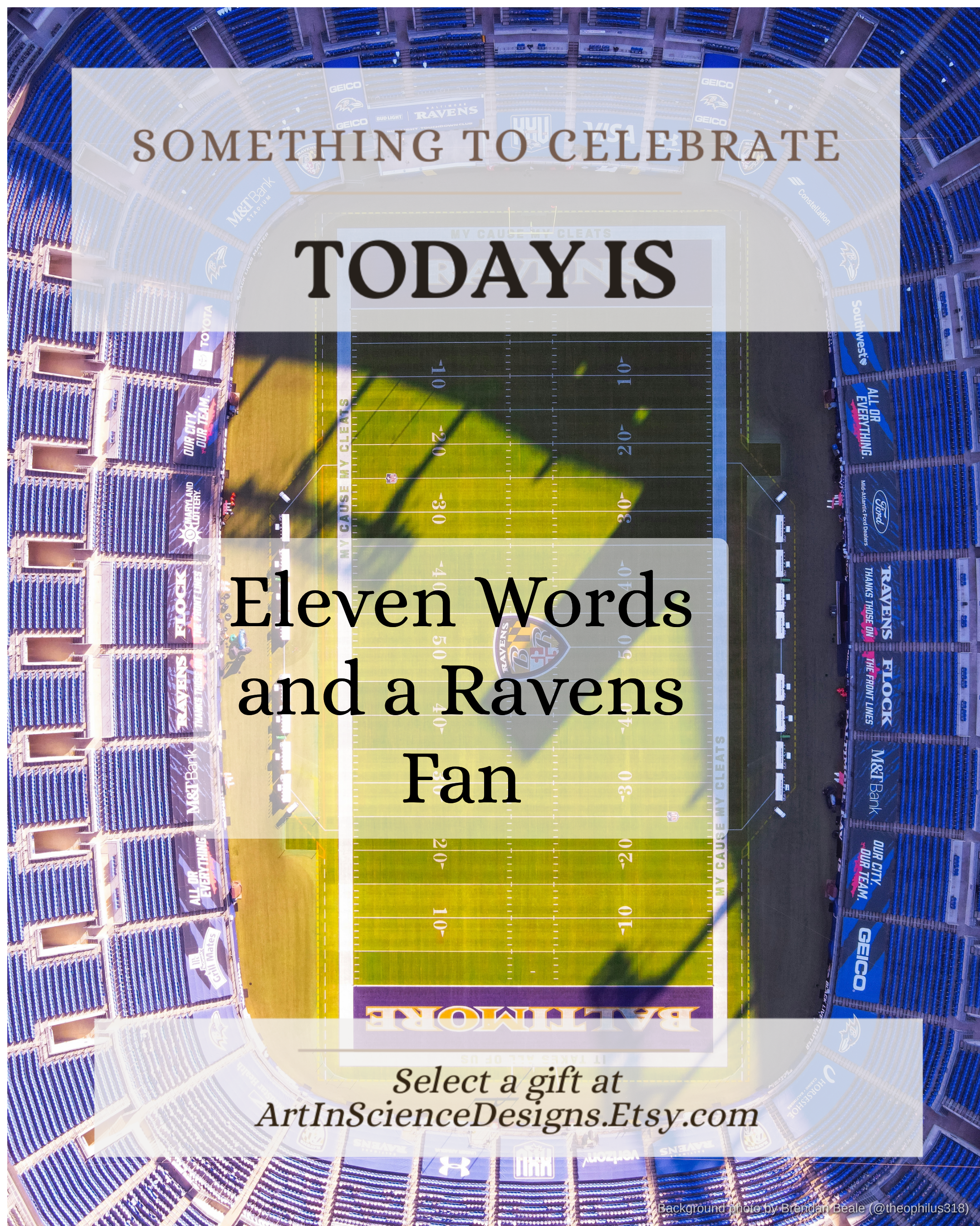 Eleven Words and a Ravens Fan
