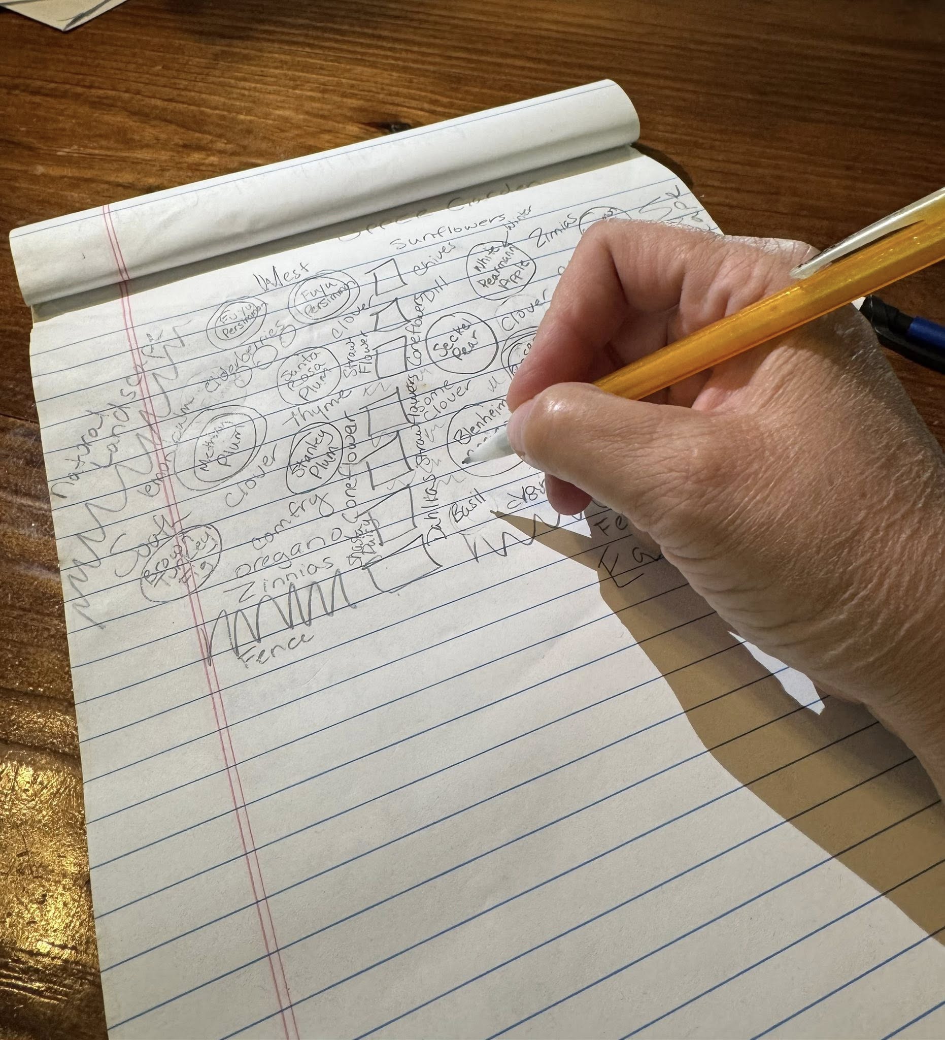 Hand-drawn planning sketch
