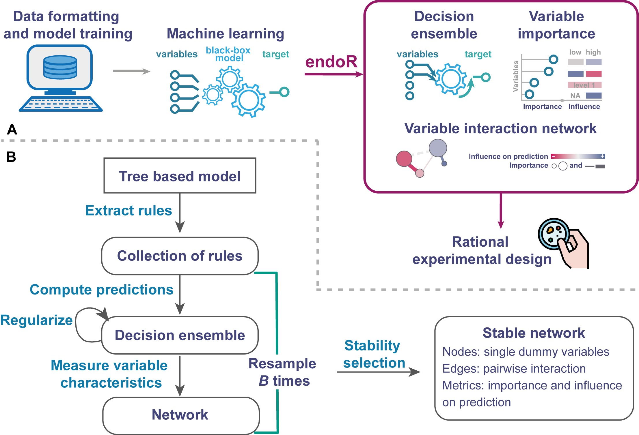 endoR overall workflow