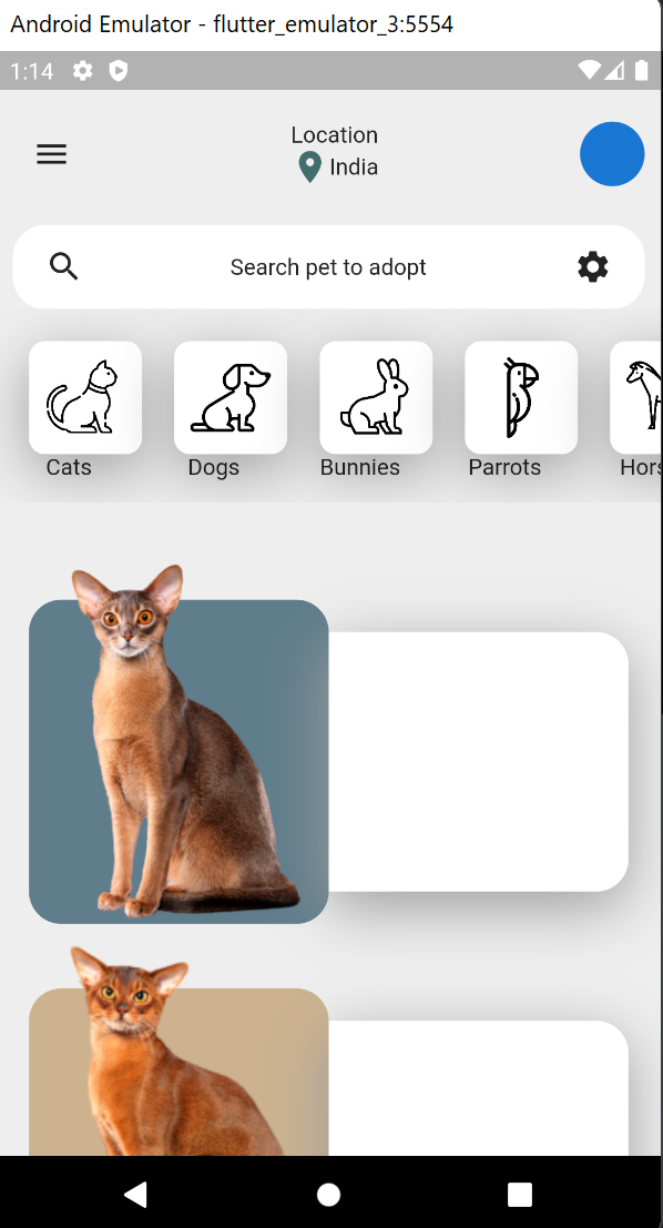 GitHub - arunsingh28/pet_ui: Pet app ui in flutter