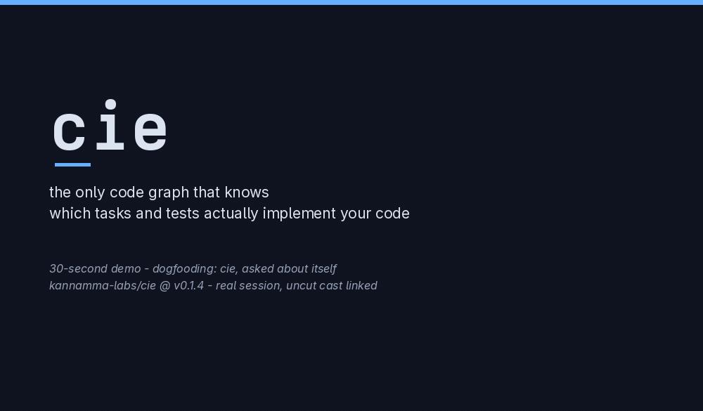 30-second demo: cie, asked about itself