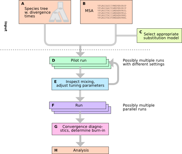 DLTRS_workflow