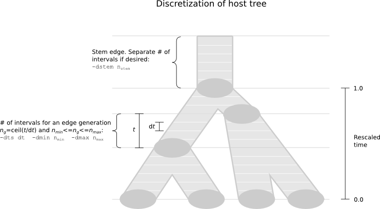 Deleterious_discretization