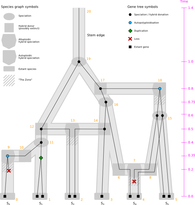 graph_w_extinctions_mpr