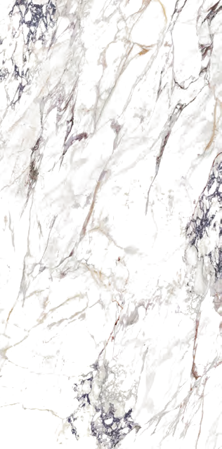 Breccia Capraia