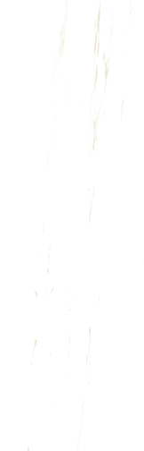 Lassa White