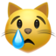 crying_cat_face