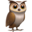 owl