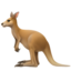 kangaroo