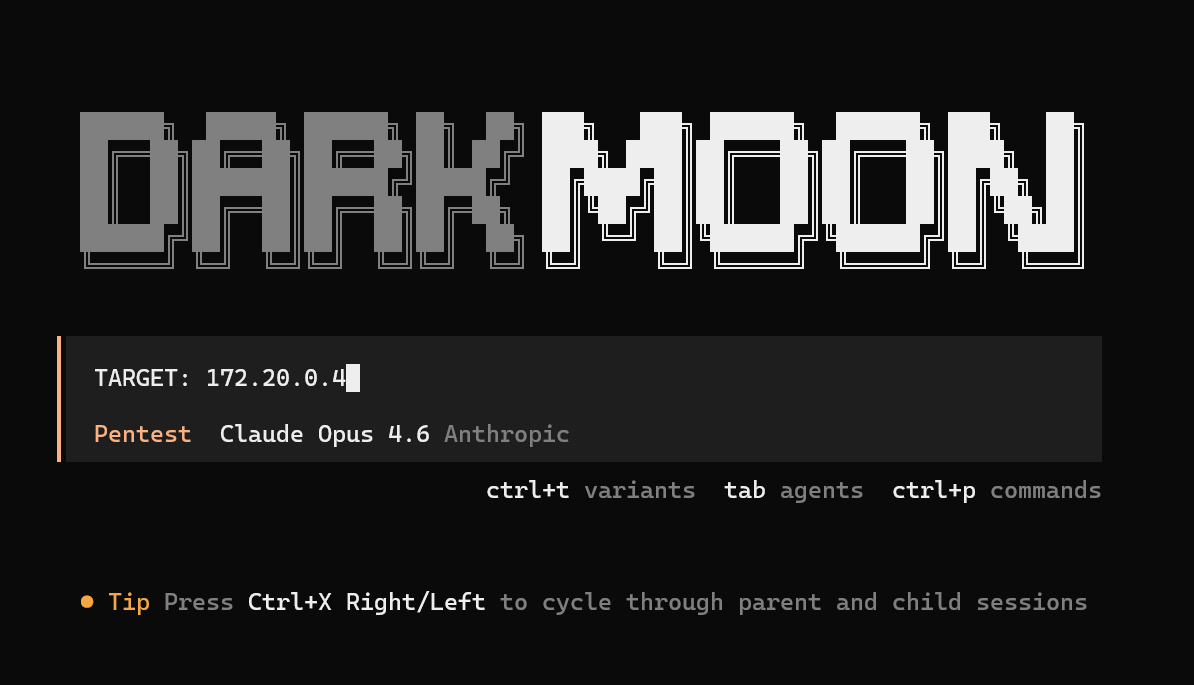 Launching a DarkMoon assessment from the command line with a single TARGET line