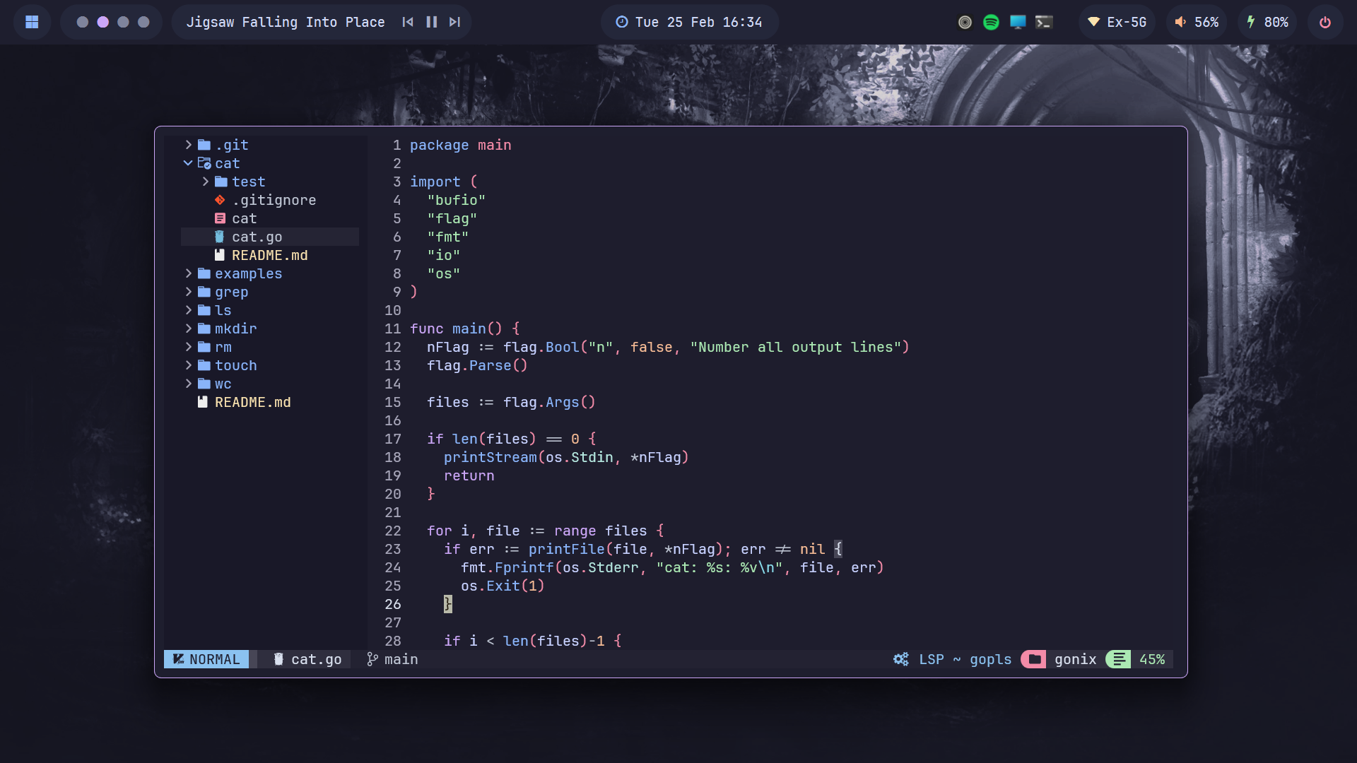 Neovim